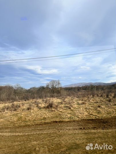 Проверка и подборка лота для участия в торгах