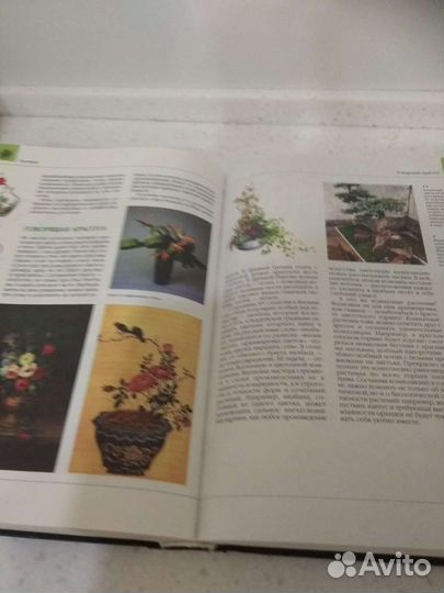 Энциклопедии для школьников