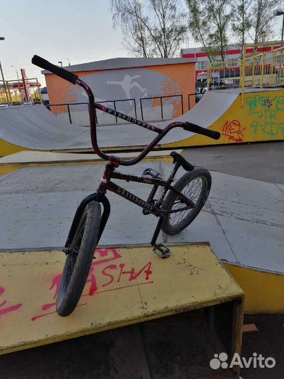 Bmx tech team grashopper