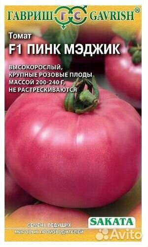 Рассада помидор для теплицы
