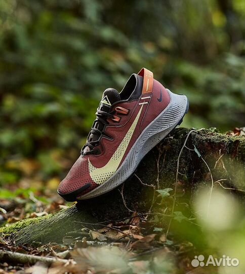 Кроссовки Nike Pegasus Trail 2