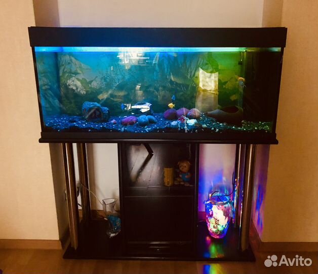 Аквариум с тумбой и рыбками