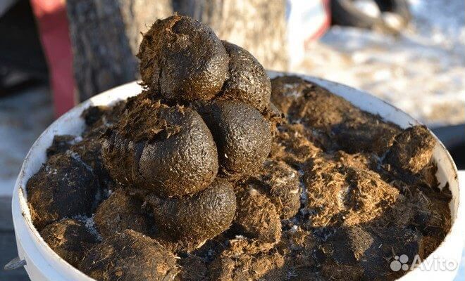 Навоз конский в мешках