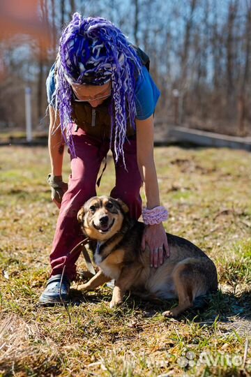 Крошка Силька придаст Вашей жизни смысл