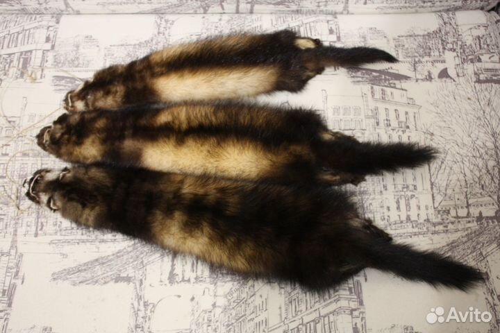 Шкурки хоря