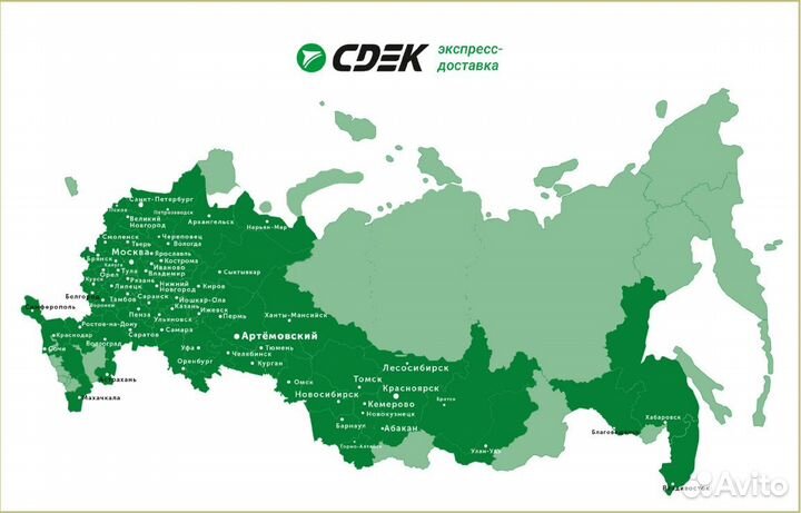 Роза чайно-гибридная «Мадам Анизет» - саженцы зкс