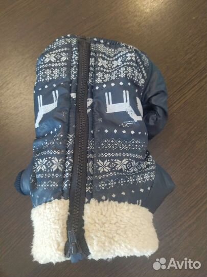 Одежда для маленьких пород собак