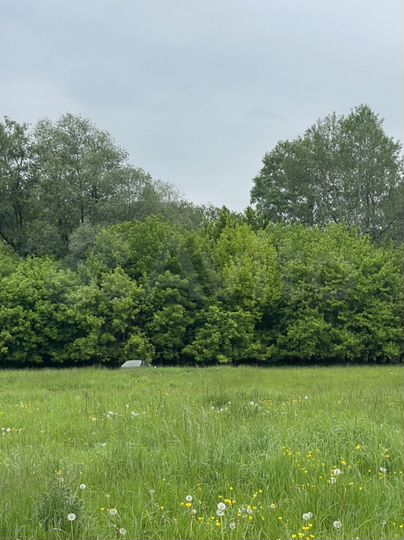 Участок 25 сот. (ИЖС)