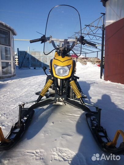 Dingo T150 2015