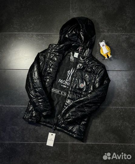Куртка мужская Moncler