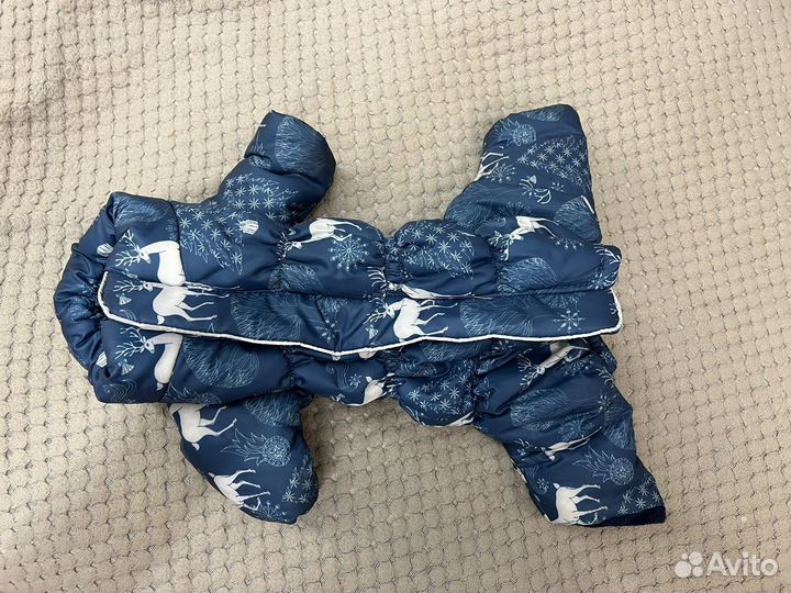 Одежда для собак мелких пород