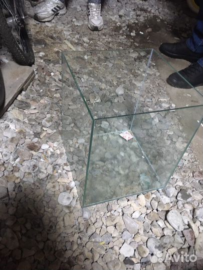 Аквариумные рыбки и растения