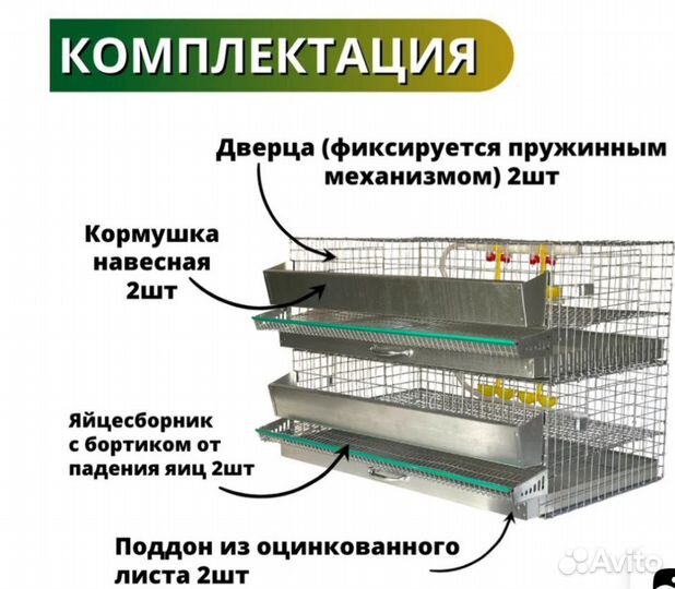 Клетка на 60 перепелов