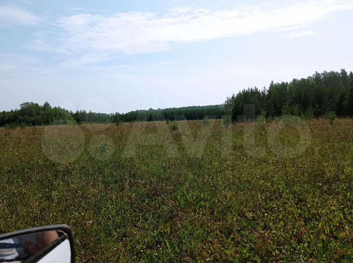 Участок 10 га (СНТ, ДНП)