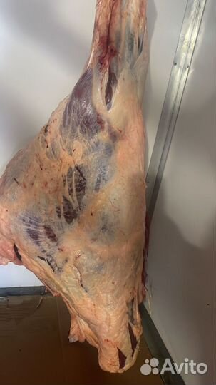 Говядина мясо