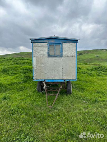 Павильон с пчёлами