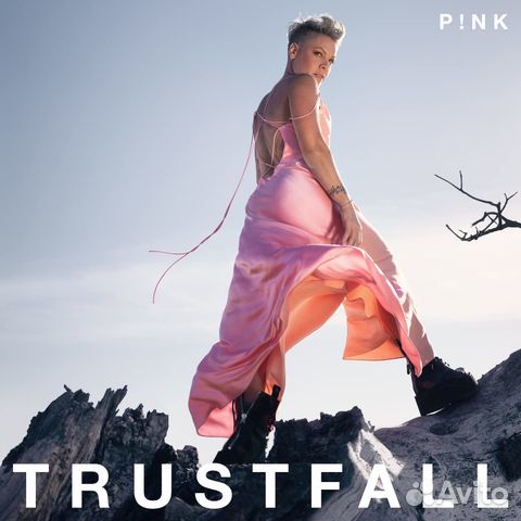 Pnk / Trustfall (LP)
