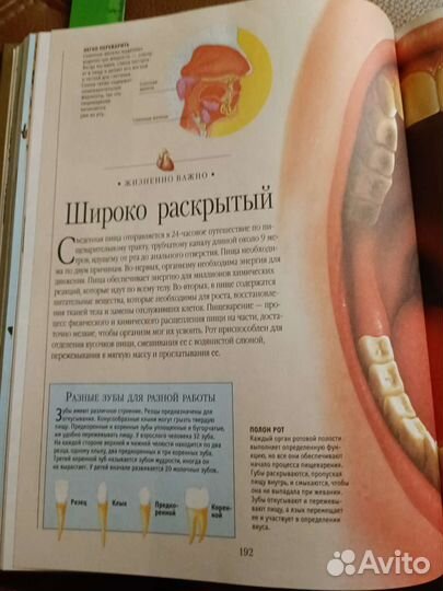 Детская энциклопедия