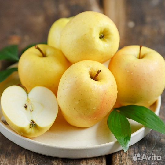 Крупномеры яблонь, груш, слив, черешни, абрикоса