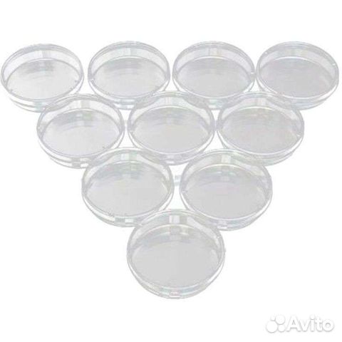 Чашка петри