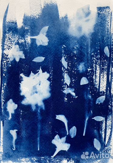 Открытки и постеры с цветами, цианотипия