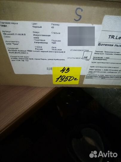 Беговые лыжи