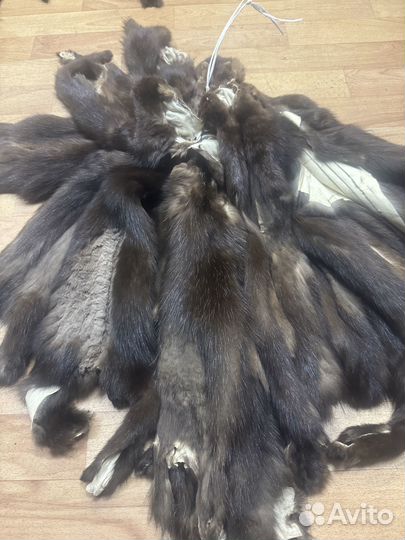 Шкурки соболя