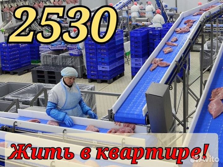 Упаковщик вахта проживание в квартире г Шахты