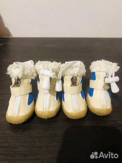 Обувь для собаки зима осень весна