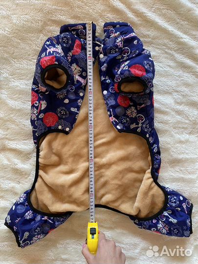 Одежда и обувь для собак