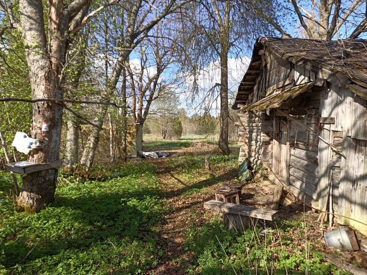 Участок 13 сот. (ИЖС)