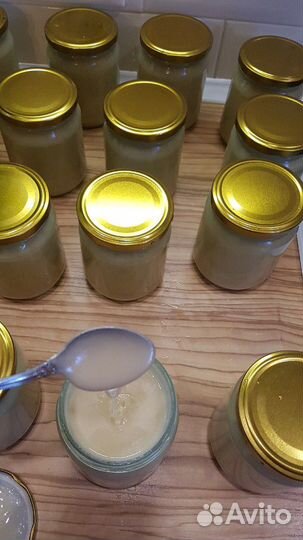 Рапсовый мёд