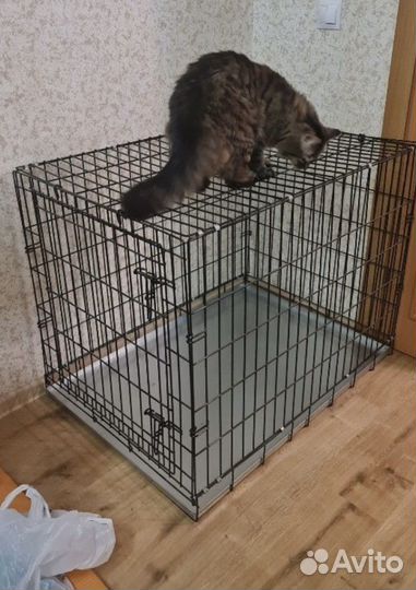Клетка для собак №3