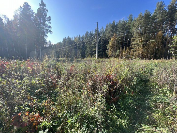 Участок 8,5 сот. (ИЖС)