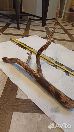 Растения и коряги затонувшие для аквариума