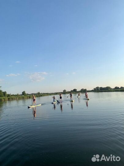 Корпоратив на сапбордах \ SUP