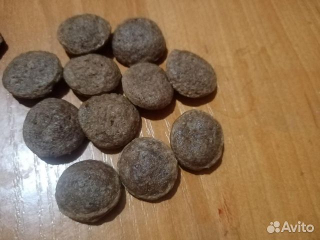 Сухой корм линий Orange, Green и Eco для собак