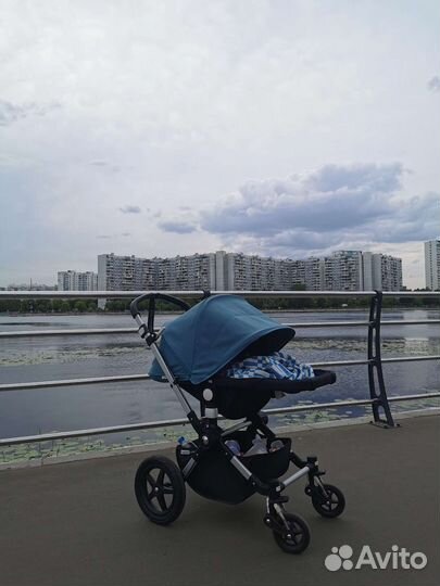 Коляска 2 в 1 bugaboo cameleon 3