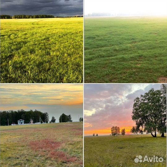 Фермерское хозяйство