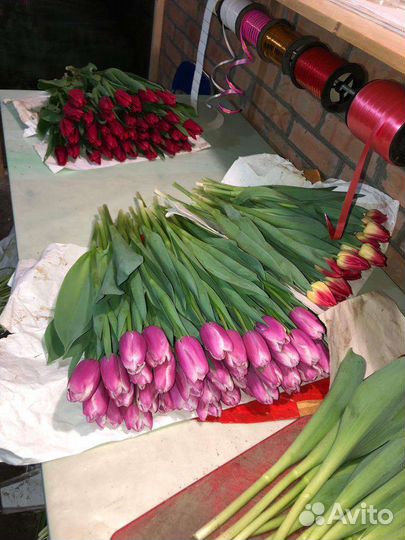 Цветы тюльпаны