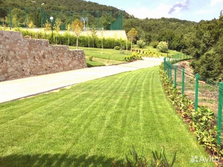 Рулонный газон