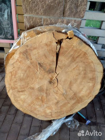 Слэб- Алтайский кедр