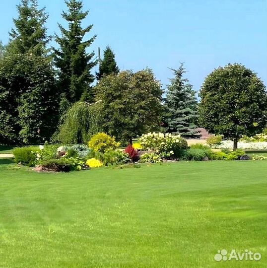 Газон. Рулонный газон