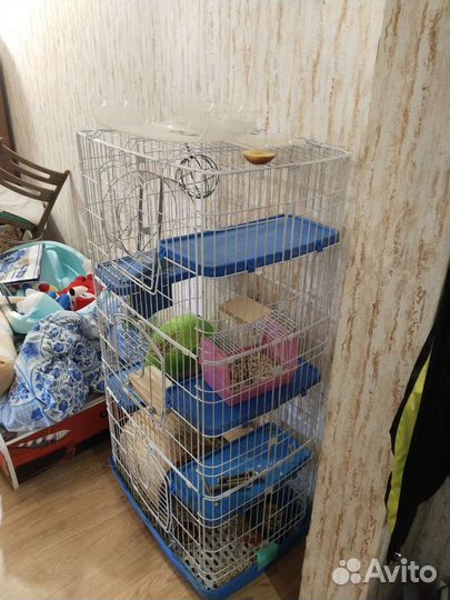 Клетка для грызунов большая