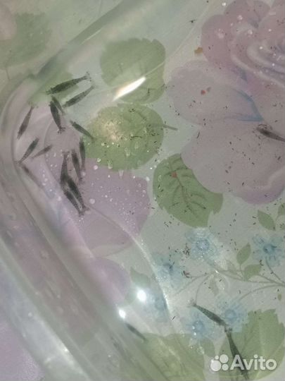 Креветки микс аквариумные растения