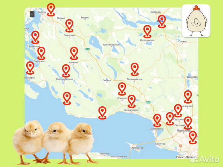 Комбикорм Мегакорм для бройлеров