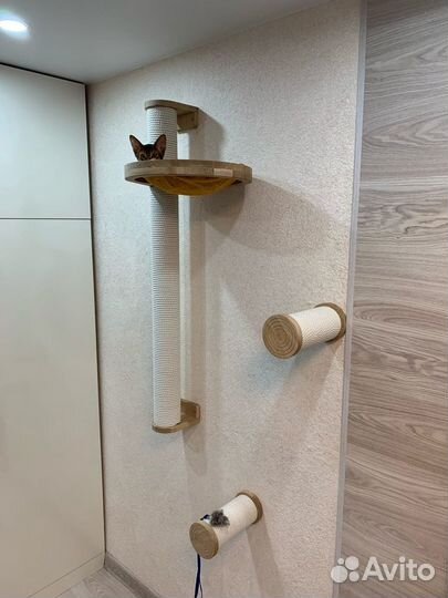 Комплекс для кошек Oak Cat Bobbin