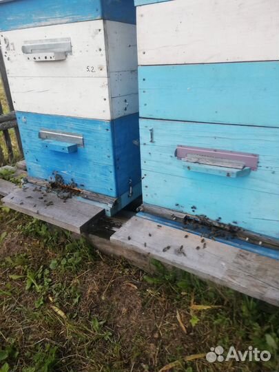 Ульи для пчел