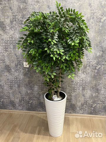 Искусственные (декоративные) растения