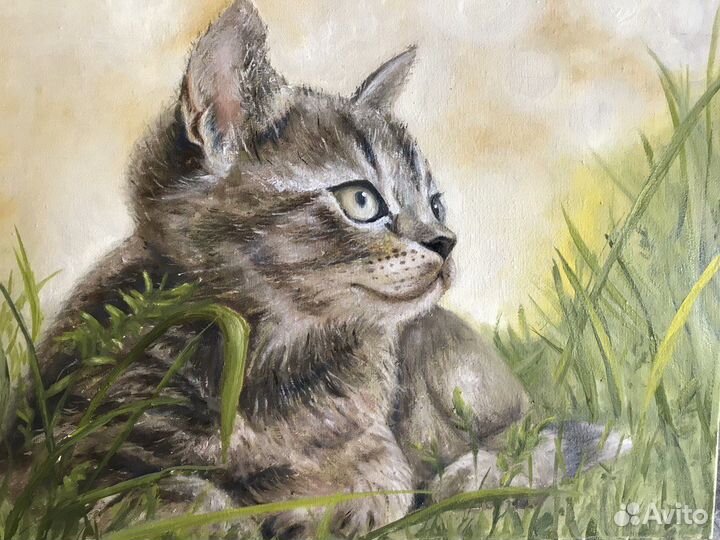 Картина маслом на холсте Котик на зеленой траве